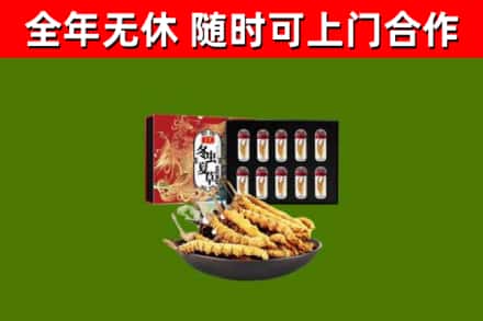 龙凤回收冬虫夏草价格