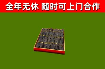 龙凤回收海参